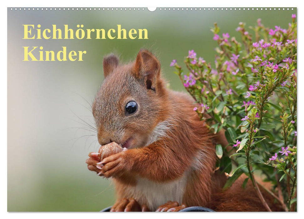 Eichhörnchen Kinder (CALVENDO Wandkalender 2026)