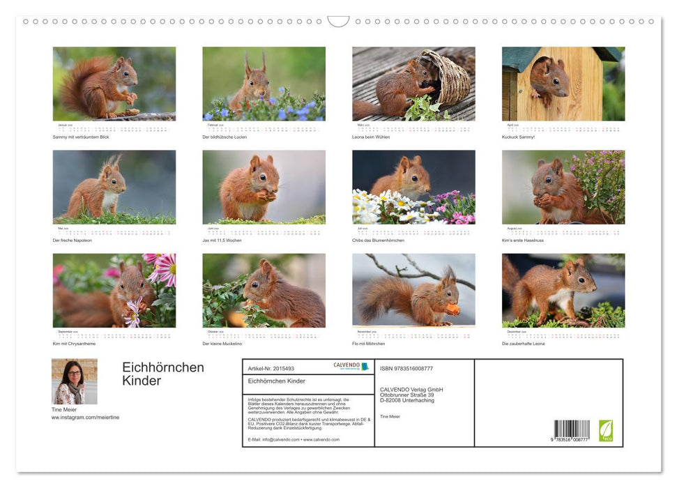 Eichhörnchen Kinder (CALVENDO Wandkalender 2026)