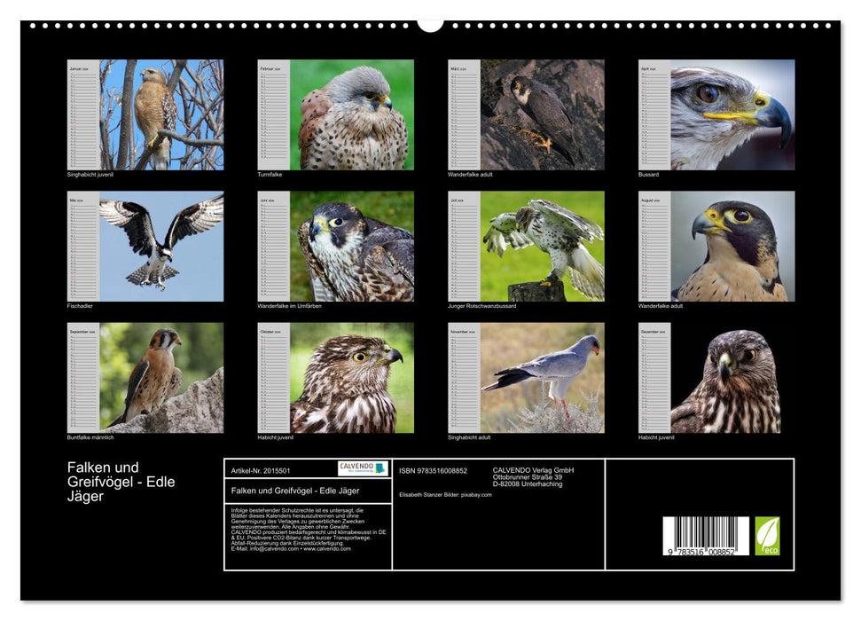 Falken und Greifvögel - Edle Jäger (CALVENDO Premium Wandkalender 2026)