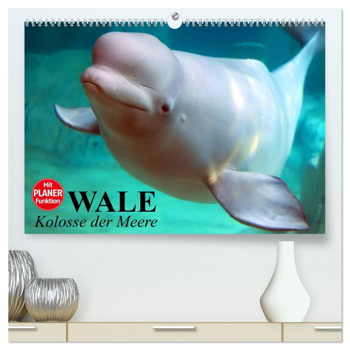Wale. Kolosse der Meere (CALVENDO Premium Wandkalender 2026)