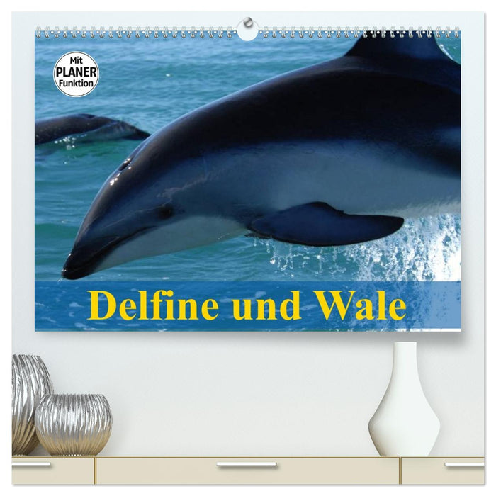 Delfine und Wale (CALVENDO Premium Wandkalender 2026)