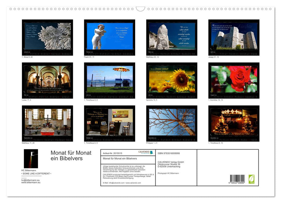 Monat für Monat ein Bibelvers (CALVENDO Wandkalender 2026)
