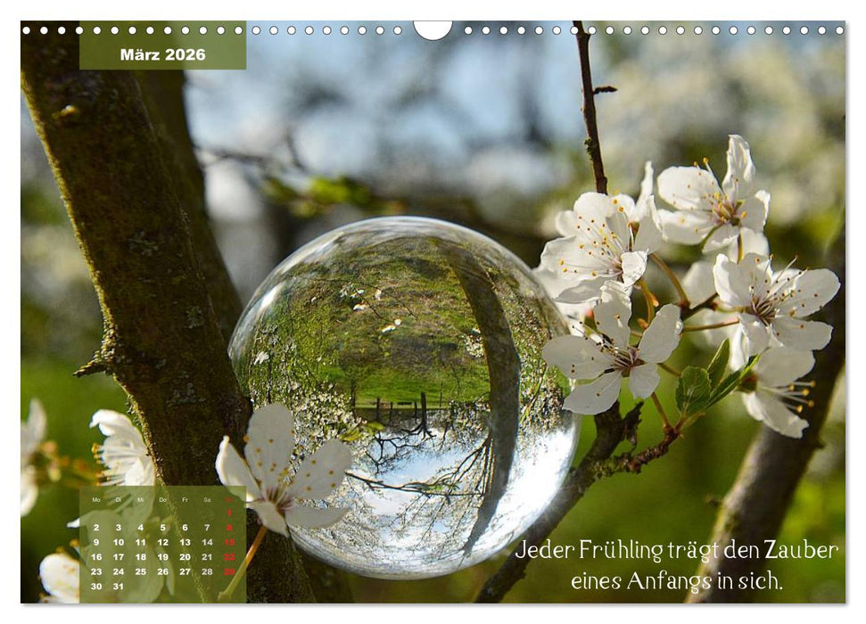 Die Welt in der Kugel (CALVENDO Wandkalender 2026)