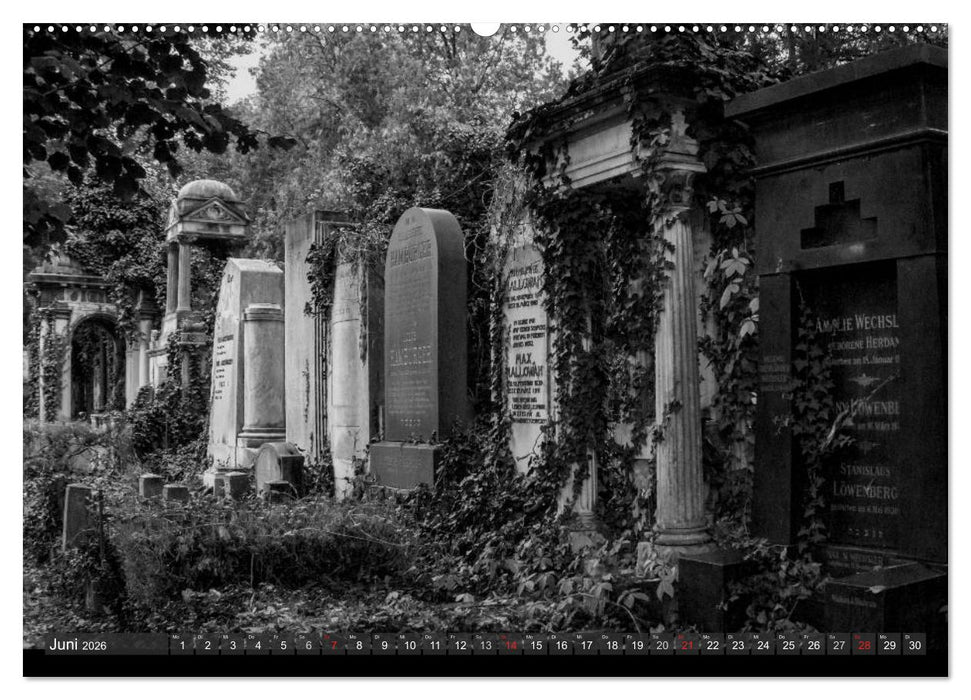 Morbide Zeitzeugen - Orte der Vergänglichkeit (CALVENDO Wandkalender 2026)