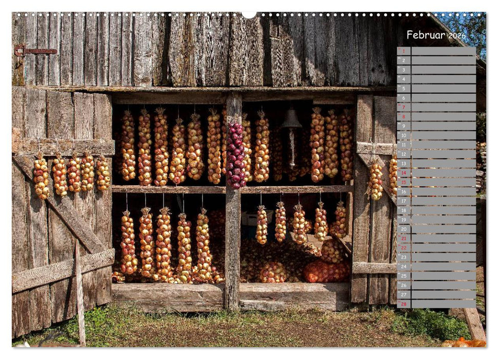 Lettland - Streifzüge durch das mittlere Baltikum (CALVENDO Wandkalender 2026)