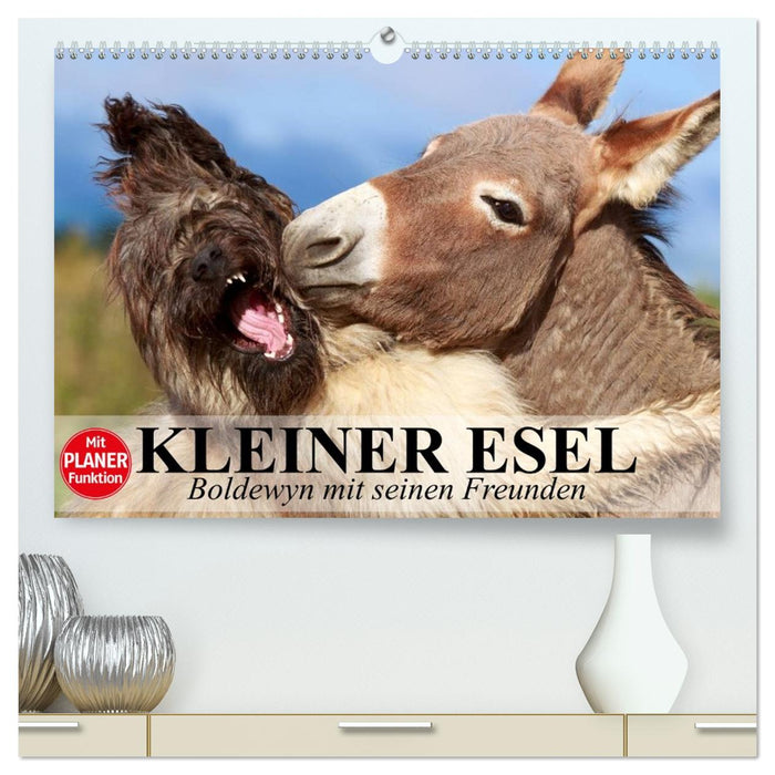 Kleiner Esel. Boldewyn mit seinen Freunden (CALVENDO Premium Wandkalender 2026)