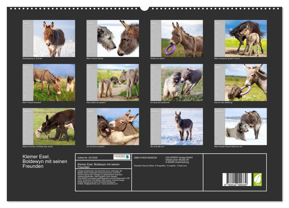 Kleiner Esel. Boldewyn mit seinen Freunden (CALVENDO Premium Wandkalender 2026)