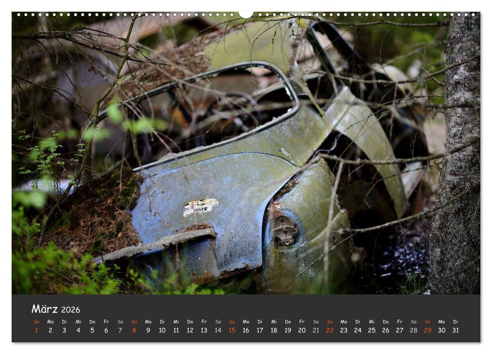 BILKYRKOGÅRDEN Der Autofriedhof im Kyrkö Mosse (CALVENDO Premium Wandkalender 2026)