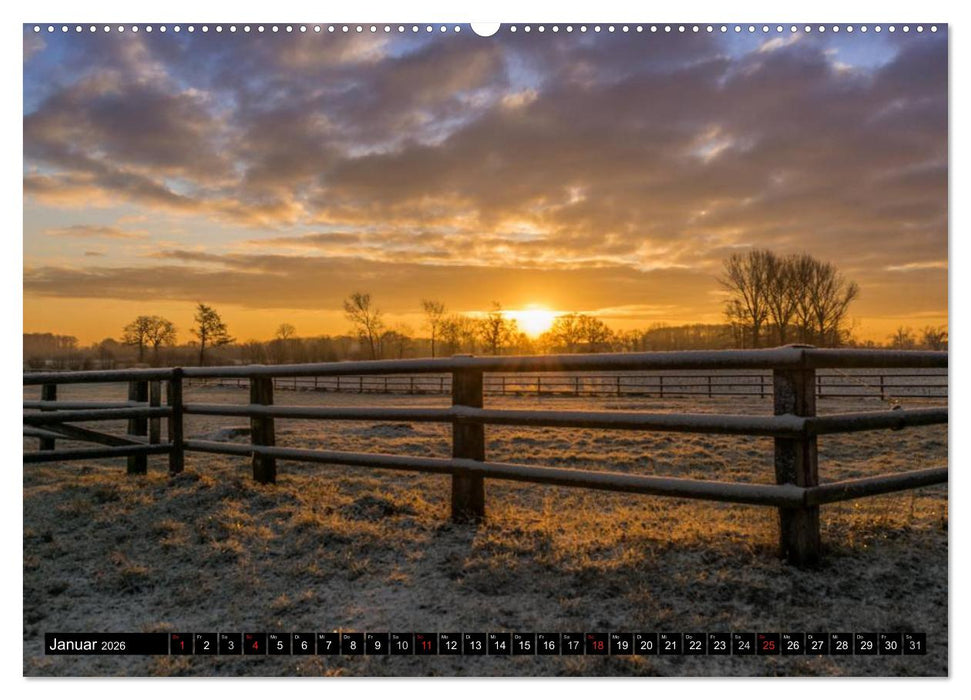 Immer wieder Sonnenschein (CALVENDO Premium Wandkalender 2026)