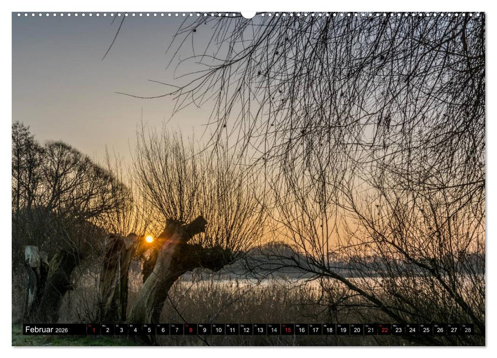 Immer wieder Sonnenschein (CALVENDO Premium Wandkalender 2026)