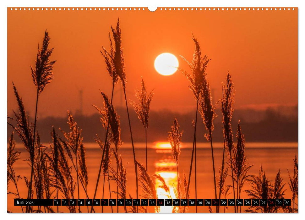 Immer wieder Sonnenschein (CALVENDO Premium Wandkalender 2026)