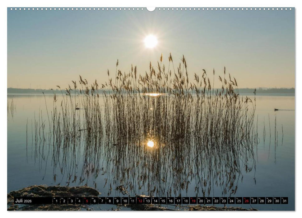 Immer wieder Sonnenschein (CALVENDO Premium Wandkalender 2026)