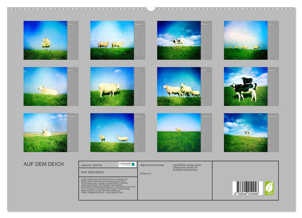 AUF DEM DEICH (CALVENDO Premium Wandkalender 2026)