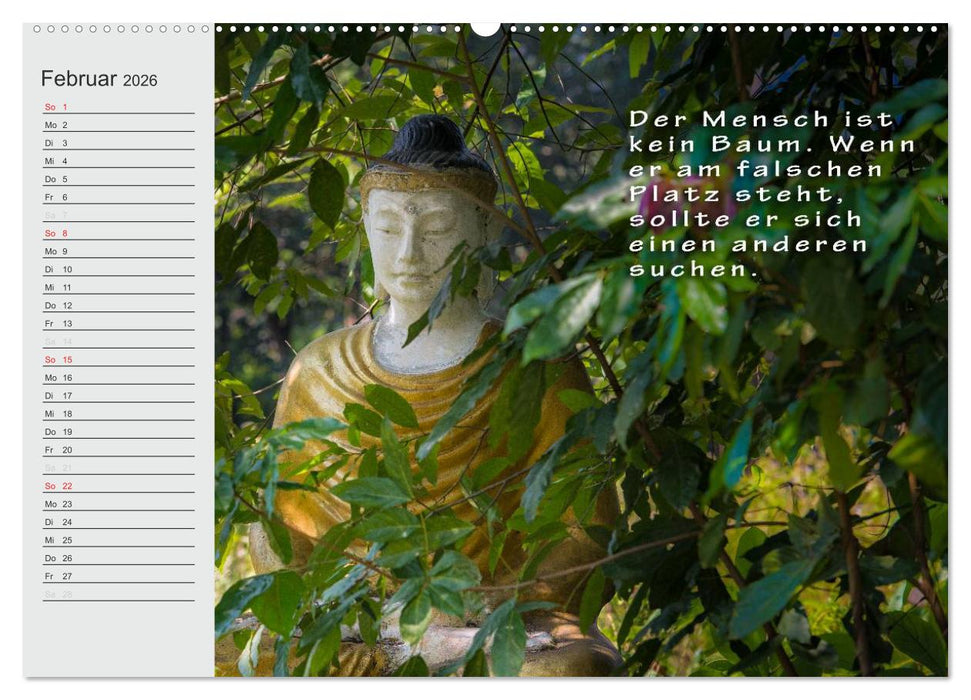 BUDDHA Buddhistische Weisheiten (CALVENDO Premium Wandkalender 2026)