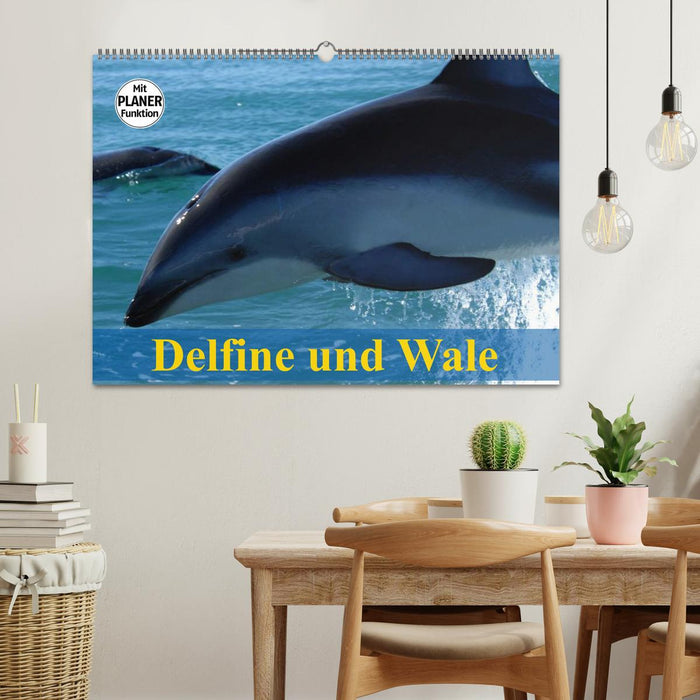 Delfine und Wale (CALVENDO Wandkalender 2026)