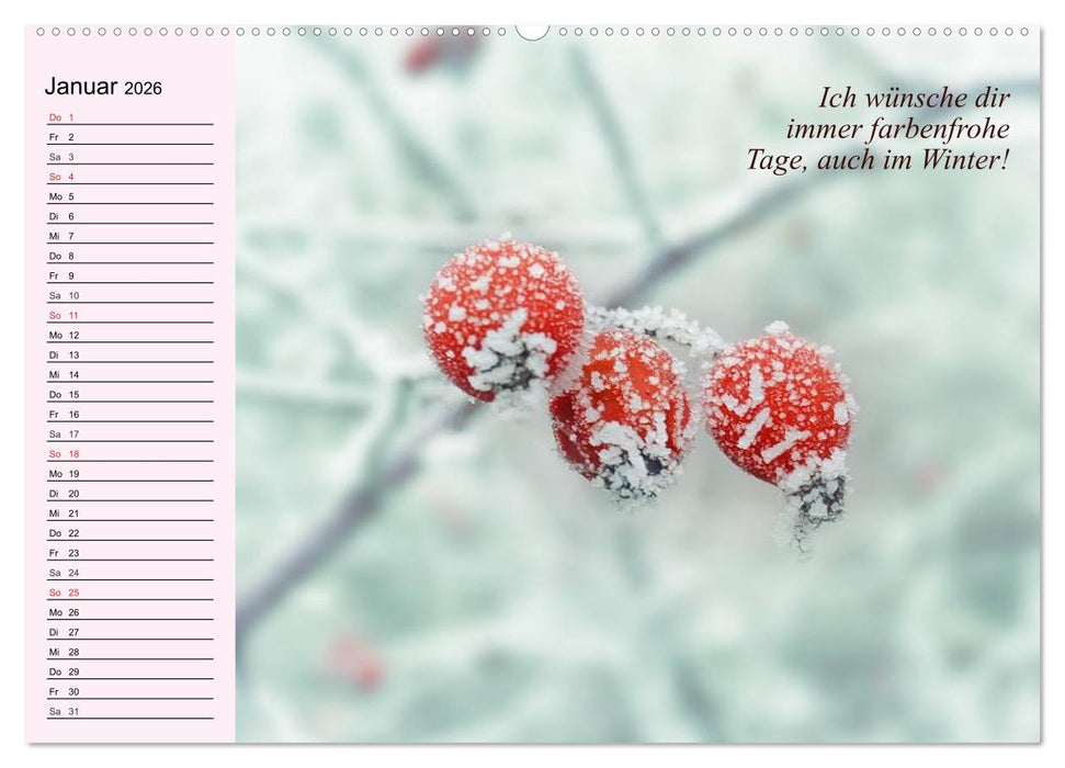 Der Freundinnen-Kalender. Was ich mir für dich wünsche! (CALVENDO Wandkalender 2026)