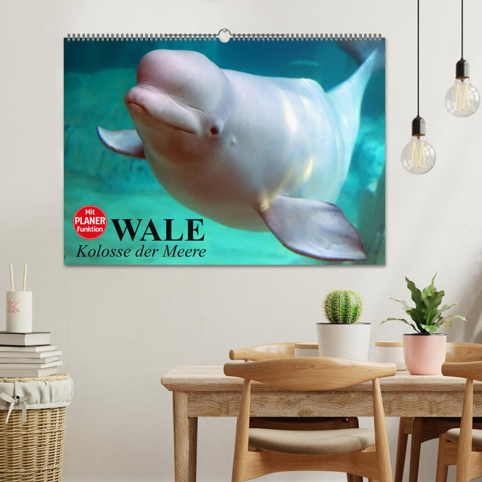 Wale. Kolosse der Meere (CALVENDO Wandkalender 2026)