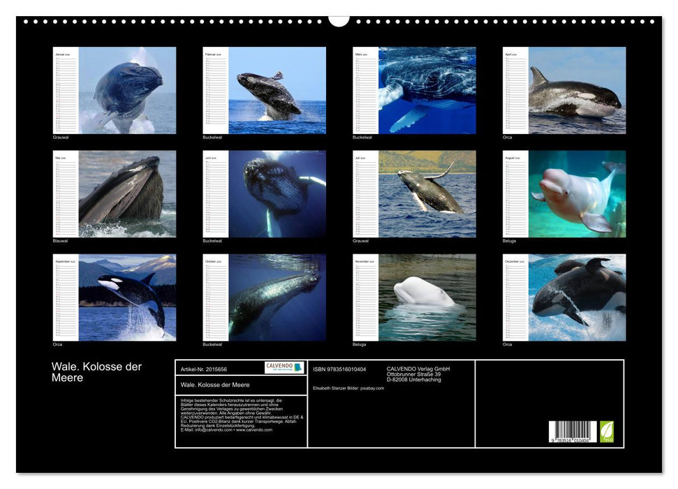 Wale. Kolosse der Meere (CALVENDO Wandkalender 2026)