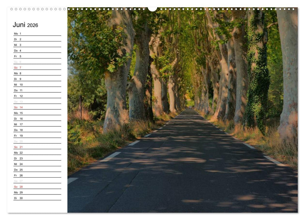 Languedoc-Roussillon - unter der Sonne des Midi (CALVENDO Premium Wandkalender 2026)