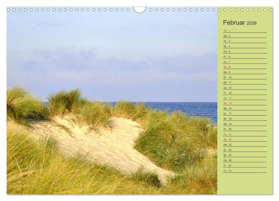 Die Ostsee (CALVENDO Wandkalender 2026)