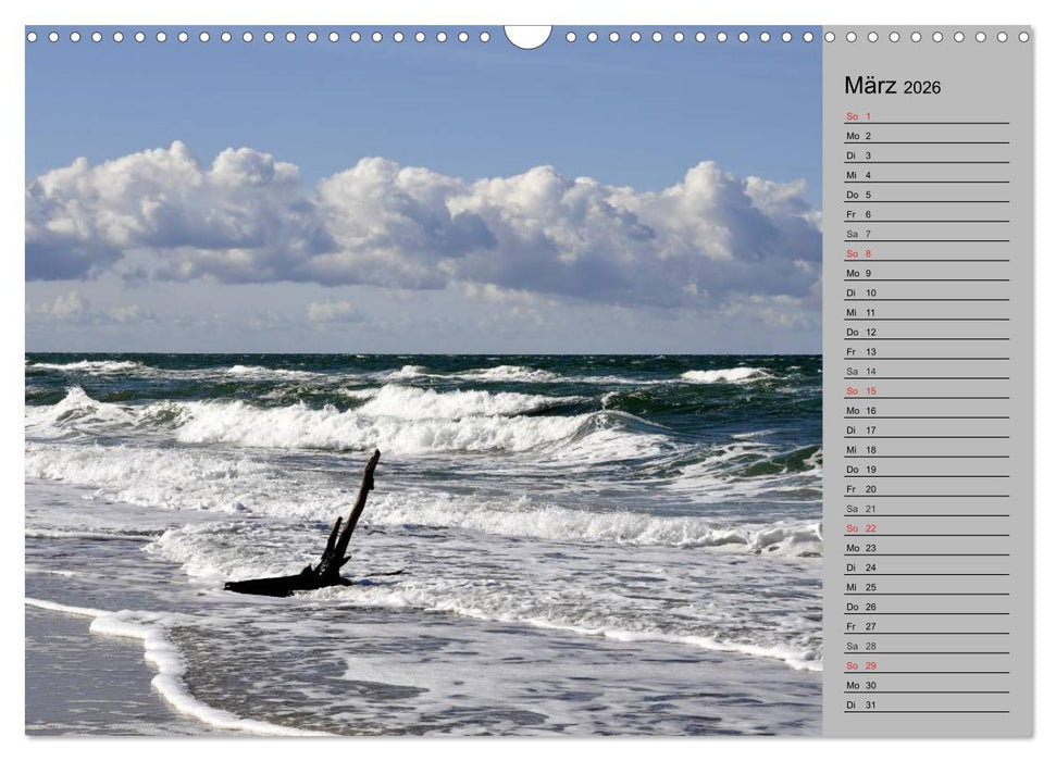 Die Ostsee (CALVENDO Wandkalender 2026)