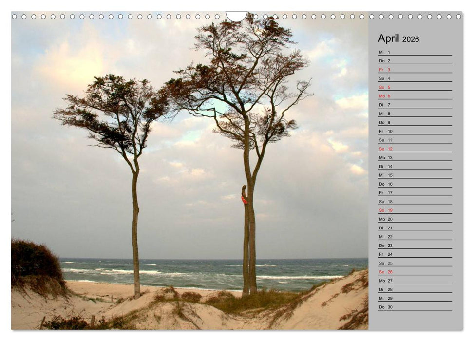 Die Ostsee (CALVENDO Wandkalender 2026)