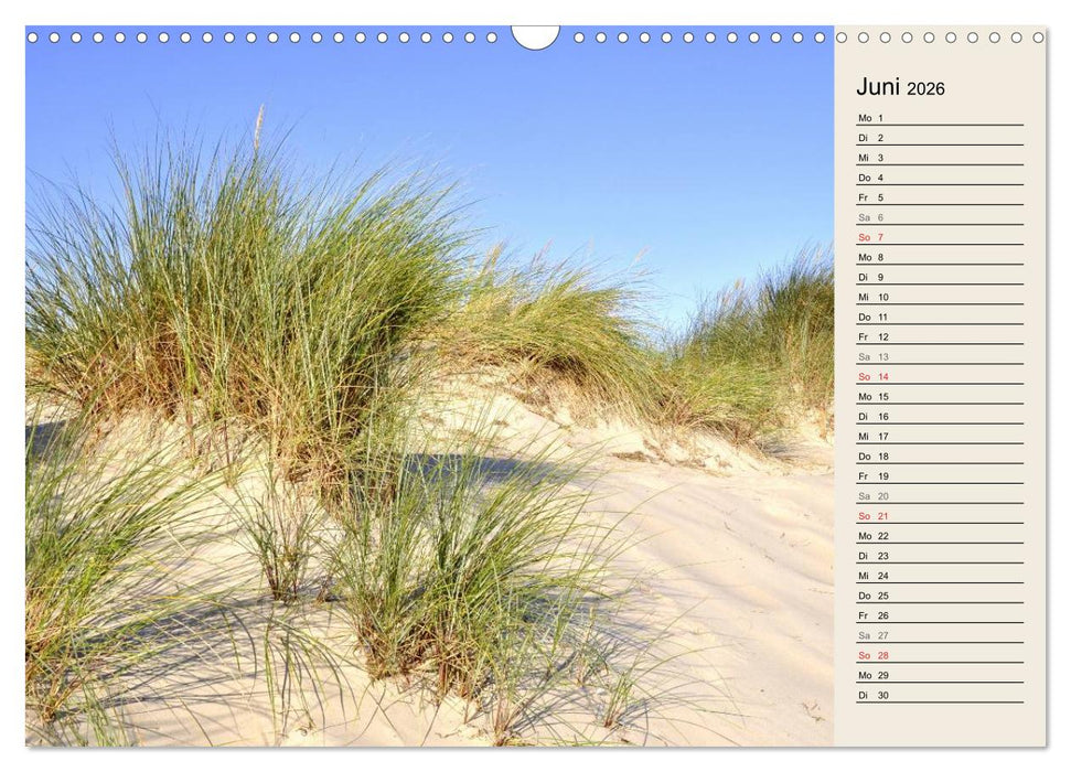 Die Ostsee (CALVENDO Wandkalender 2026)