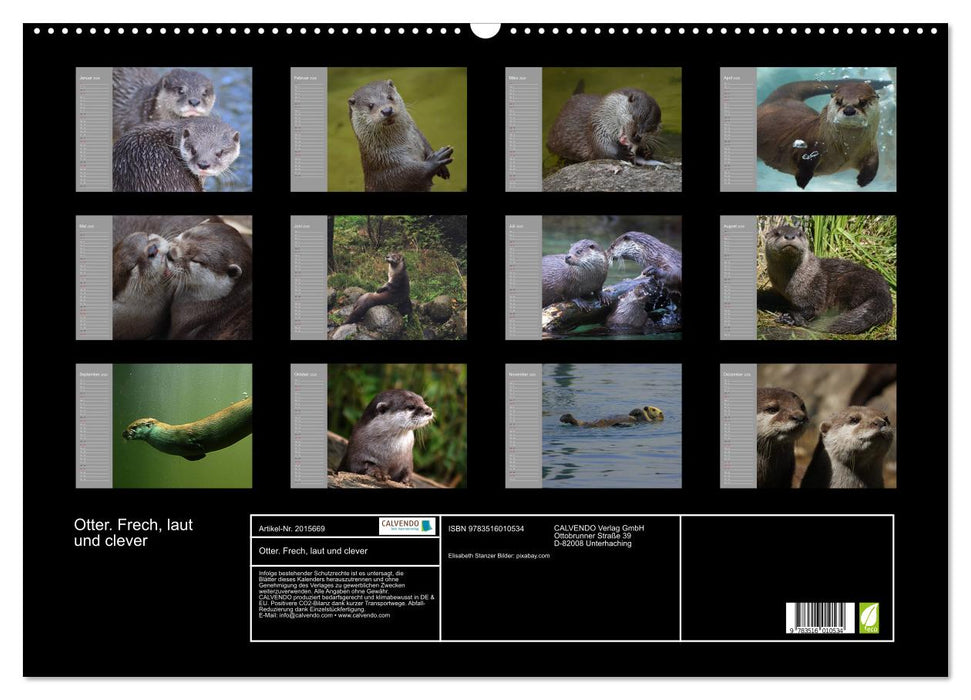 Otter. Frech, laut und clever (CALVENDO Wandkalender 2026)