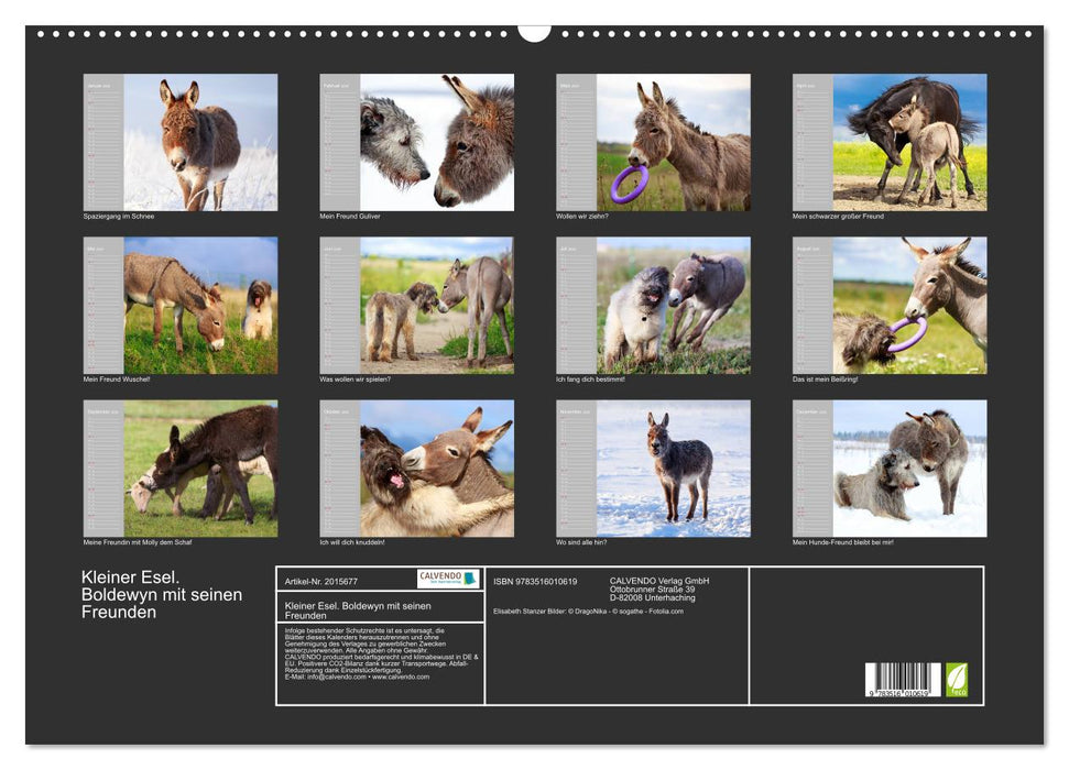 Kleiner Esel. Boldewyn mit seinen Freunden (CALVENDO Wandkalender 2026)