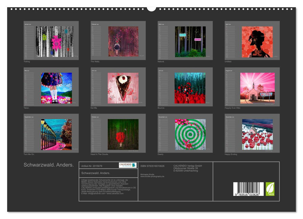 Schwarzwald. Anders. (CALVENDO Premium Wandkalender 2026)