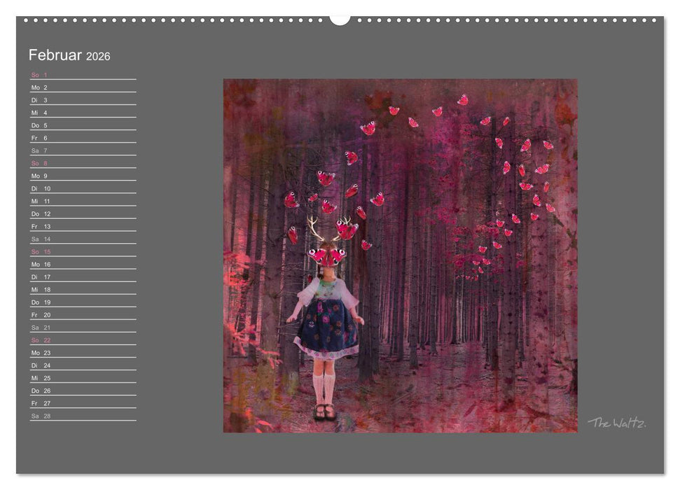 Schwarzwald. Anders. (CALVENDO Premium Wandkalender 2026)