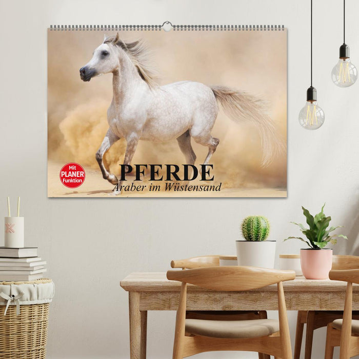 Pferde. Araber im Wüstensand (CALVENDO Wandkalender 2026)