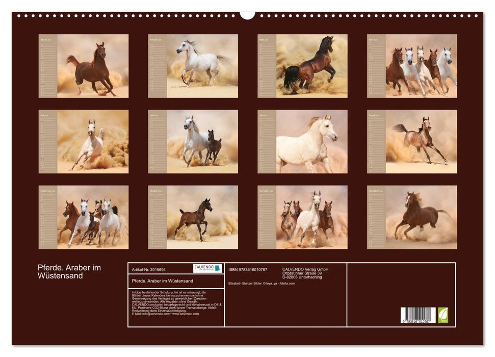 Pferde. Araber im Wüstensand (CALVENDO Wandkalender 2026)