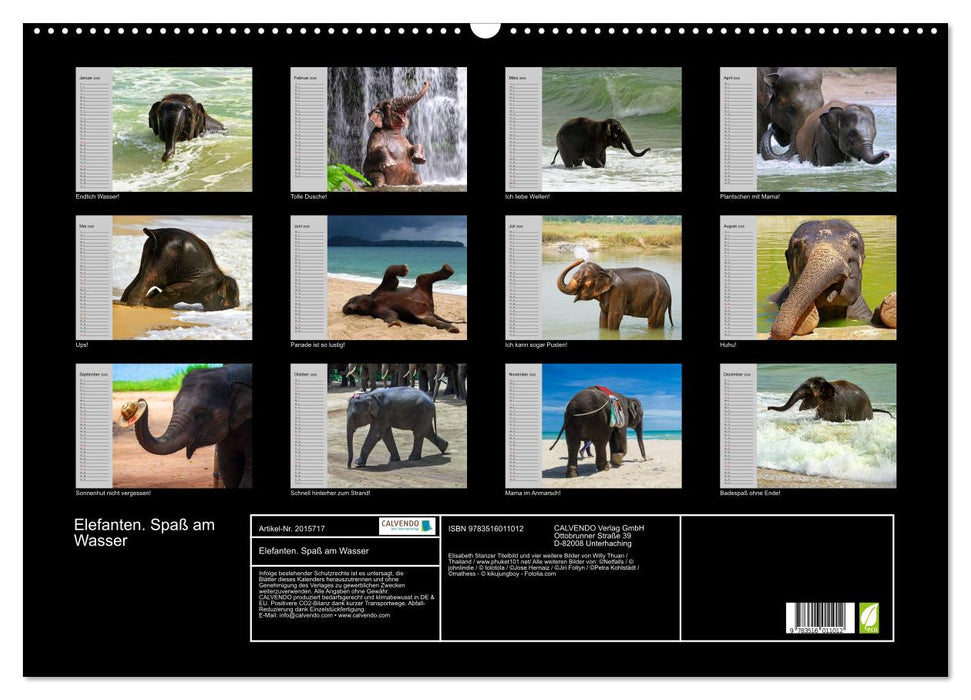 Elefanten. Spaß am Wasser (CALVENDO Wandkalender 2026)