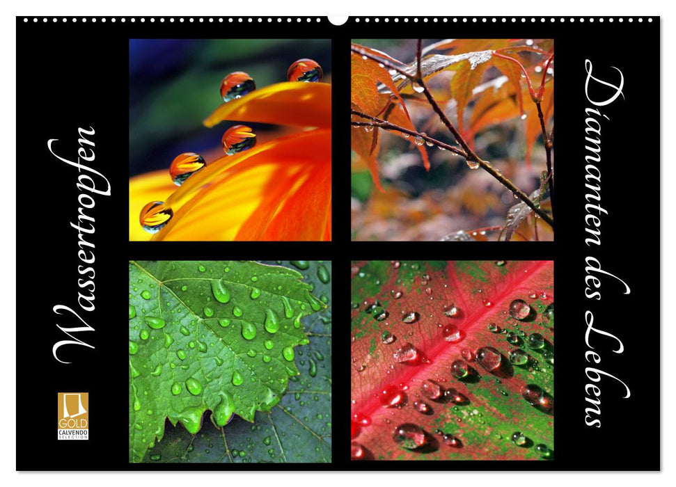 Wassertropfen - Diamanten des Lebens (CALVENDO Wandkalender 2026)