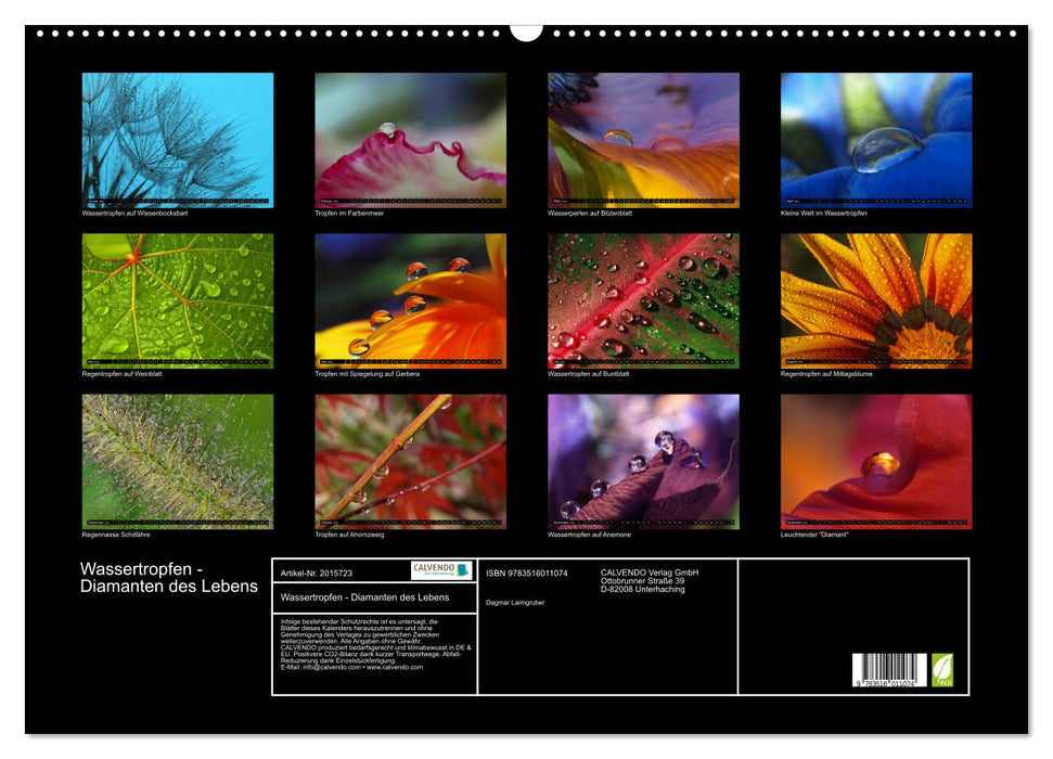 Wassertropfen - Diamanten des Lebens (CALVENDO Wandkalender 2026)