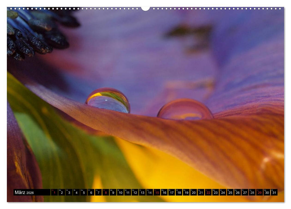 Wassertropfen - Diamanten des Lebens (CALVENDO Wandkalender 2026)