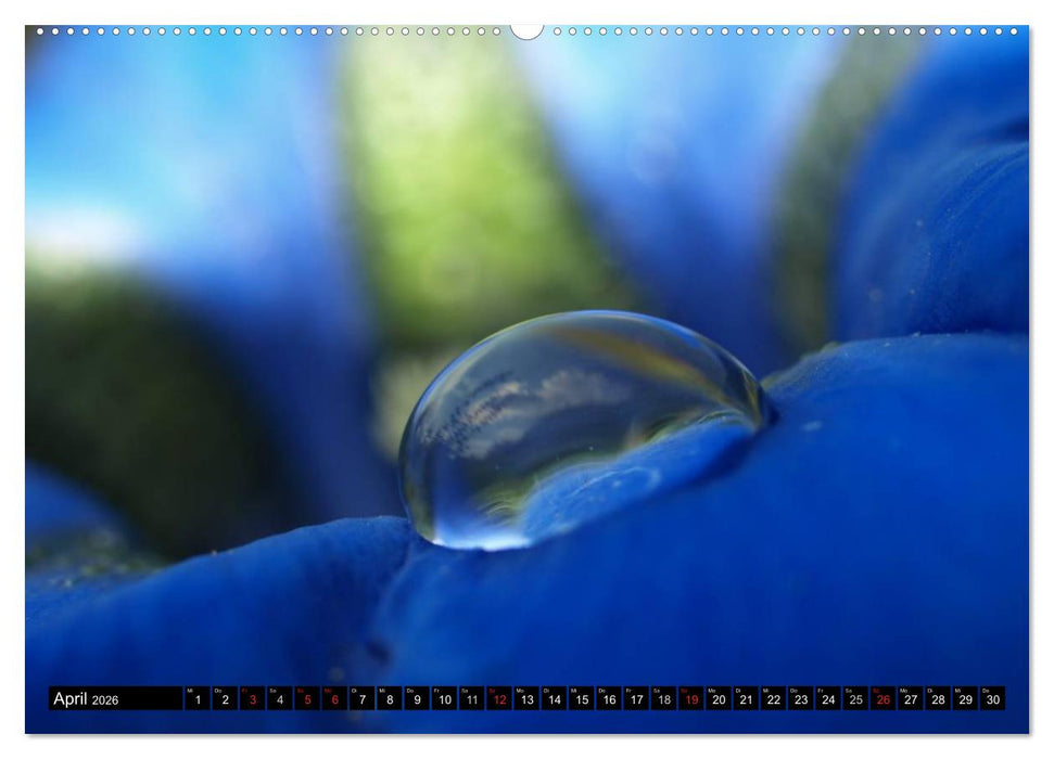 Wassertropfen - Diamanten des Lebens (CALVENDO Wandkalender 2026)