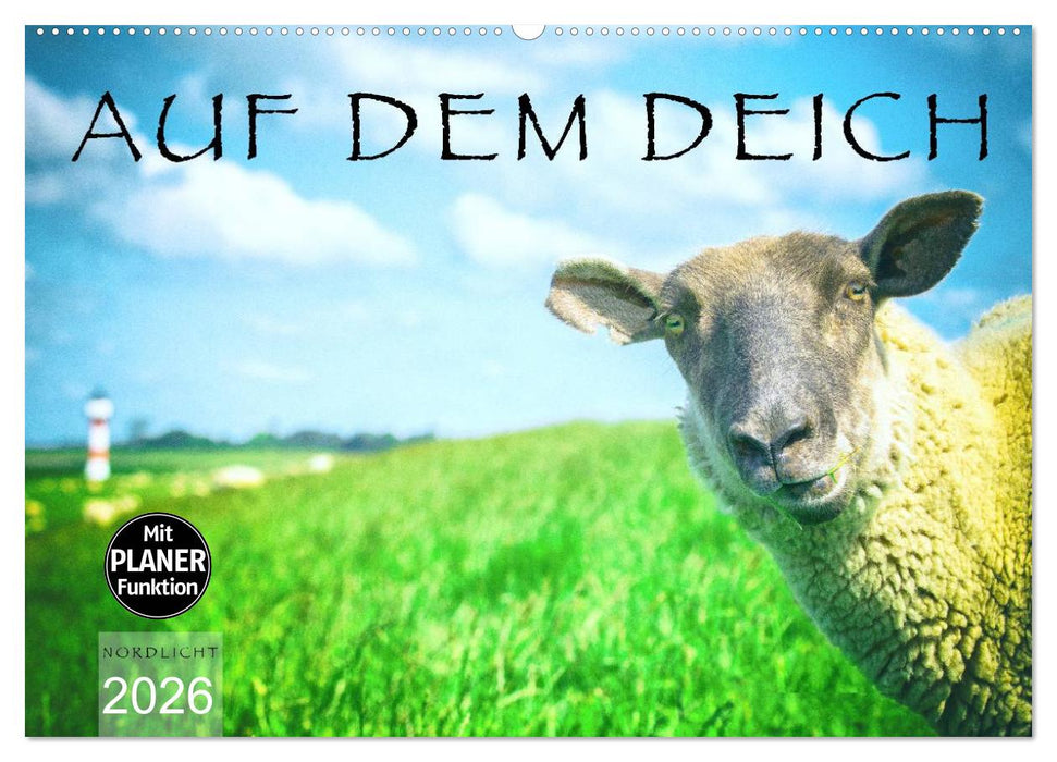 AUF DEM DEICH (CALVENDO Wandkalender 2026)