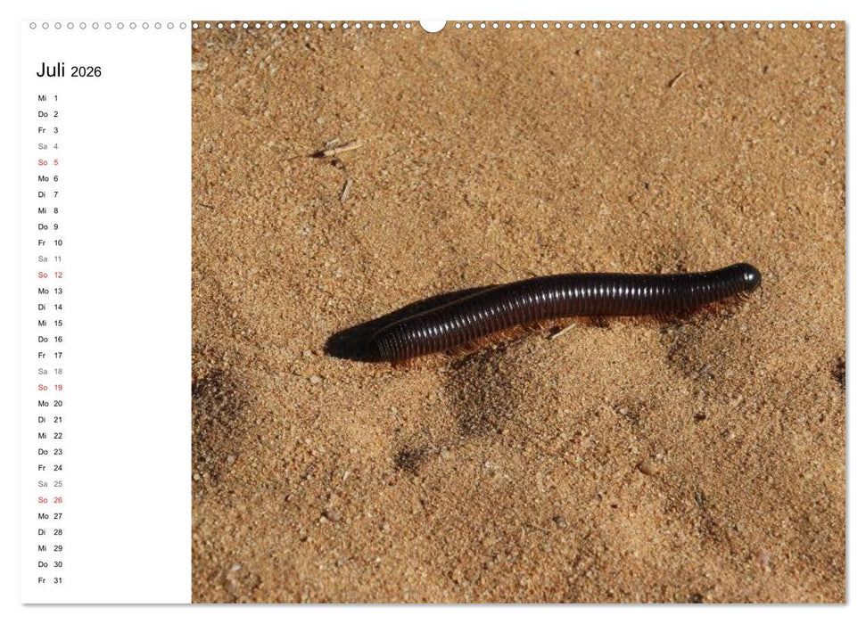 Namibia - Tierische Vielfalt (Planer) (CALVENDO Premium Wandkalender 2026)