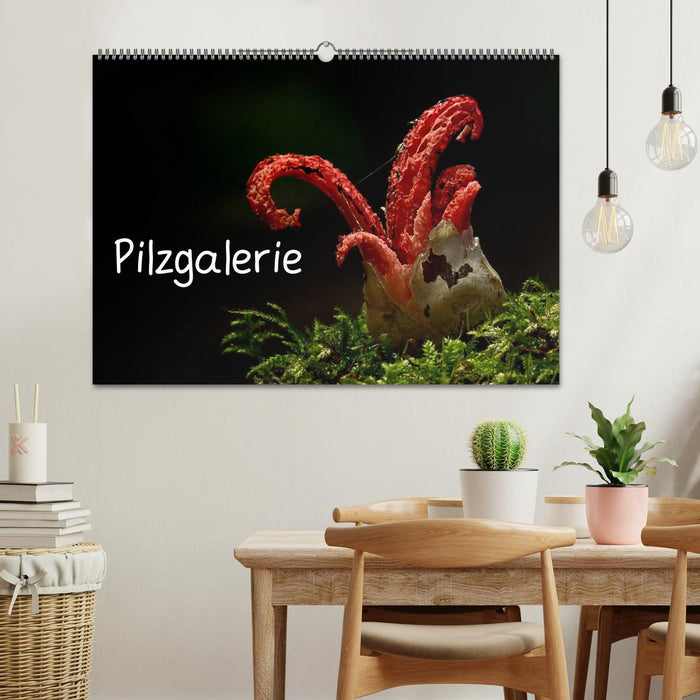 Pilzgalerie (CALVENDO Wandkalender 2026)