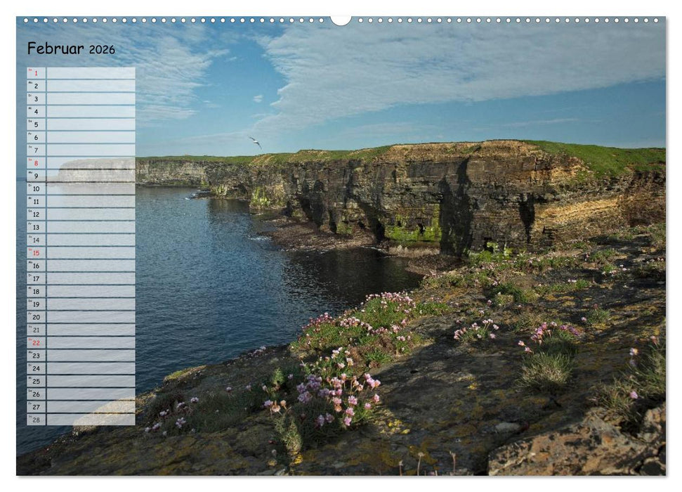 The Mainland Orkney - Schottlands Inseln (CALVENDO Premium Wandkalender 2026)