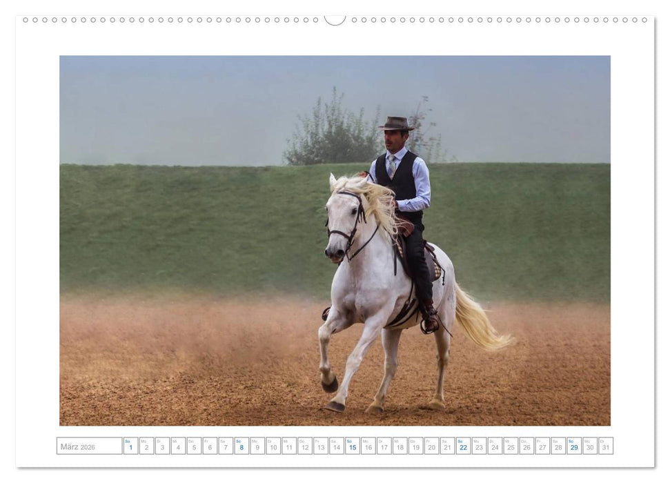 Weiße Pferde der Camargue in Bayern (CALVENDO Premium Wandkalender 2026)