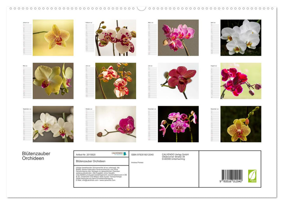 Blütenzauber Orchideen (CALVENDO Premium Wandkalender 2026)