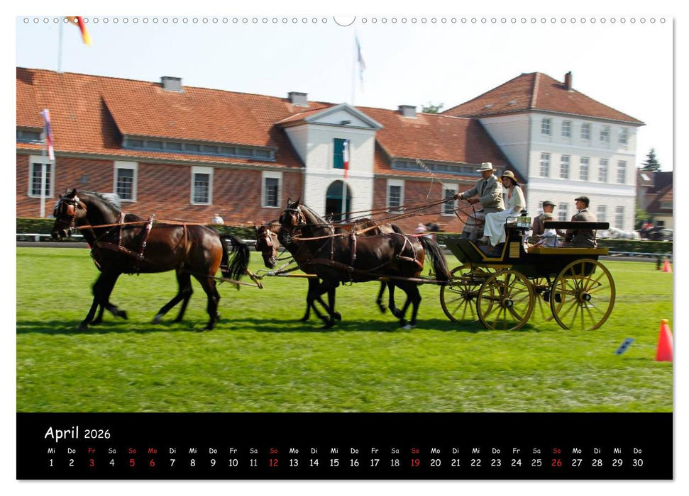 CIAT - Historischer Fahrsport in Celle (CALVENDO Premium Wandkalender 2026)