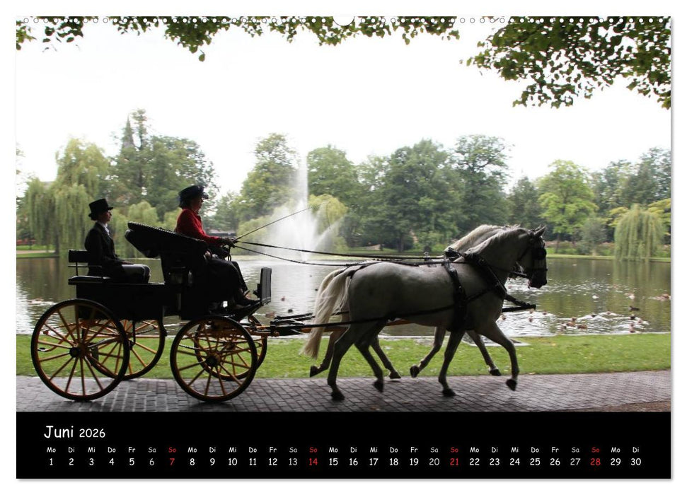 CIAT - Historischer Fahrsport in Celle (CALVENDO Premium Wandkalender 2026)