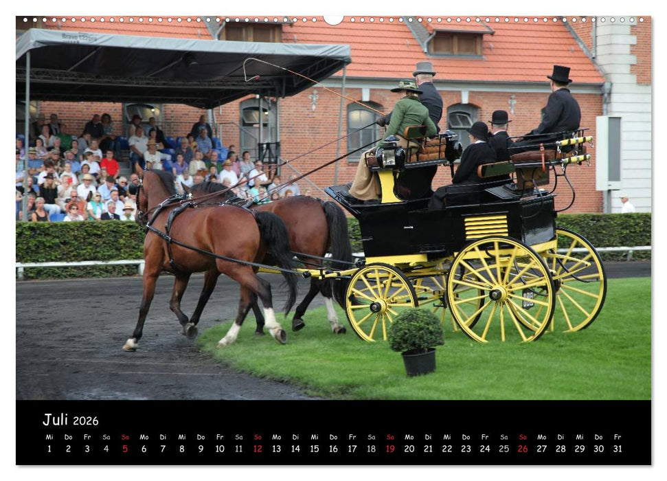 CIAT - Historischer Fahrsport in Celle (CALVENDO Premium Wandkalender 2026)