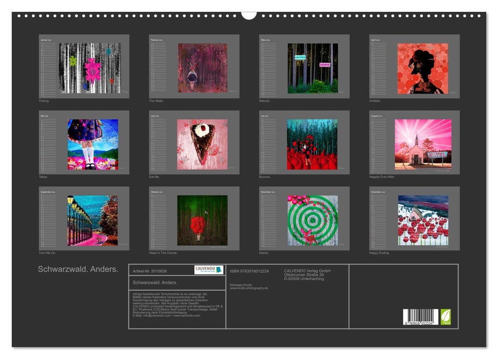Schwarzwald. Anders. (CALVENDO Wandkalender 2026)