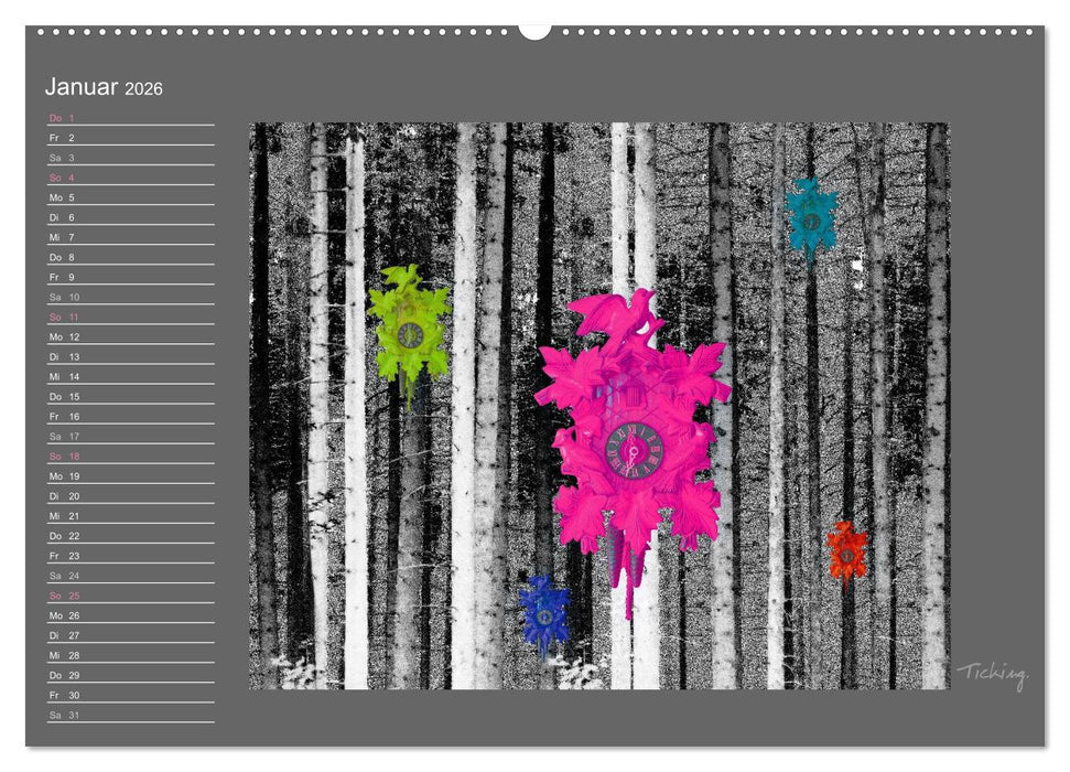 Schwarzwald. Anders. (CALVENDO Wandkalender 2026)