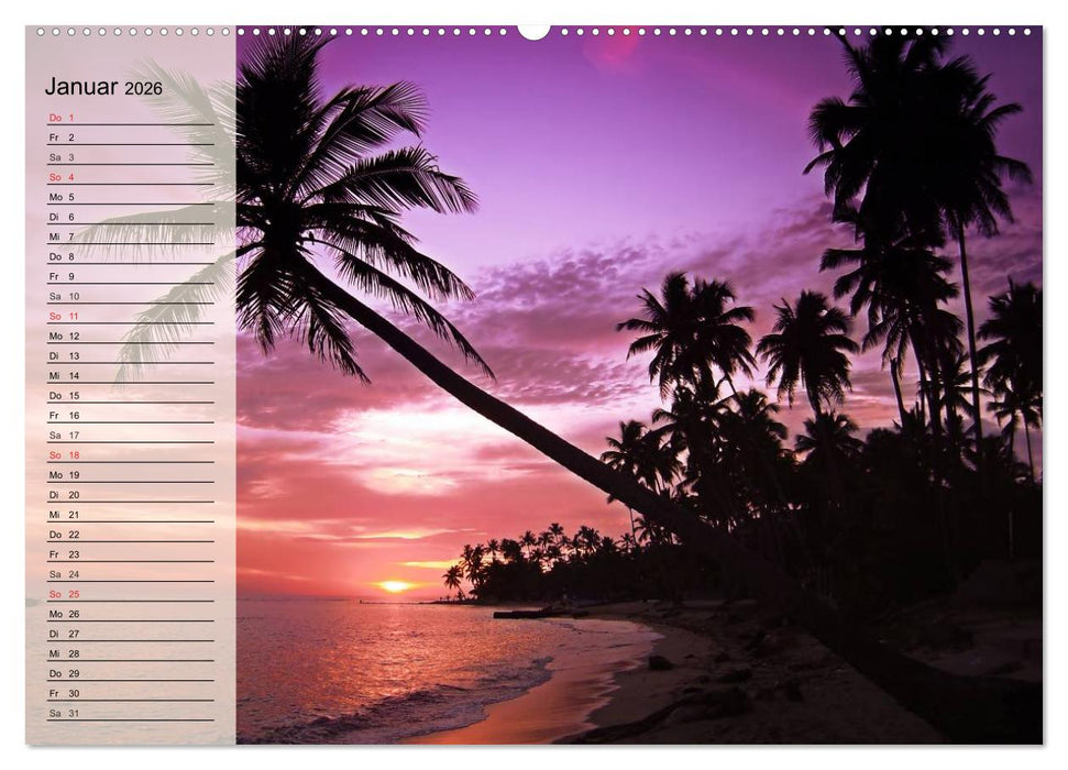 Traumstrände (CALVENDO Wandkalender 2026)